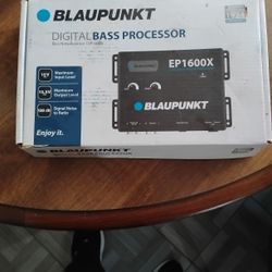 Digital Base Processor 