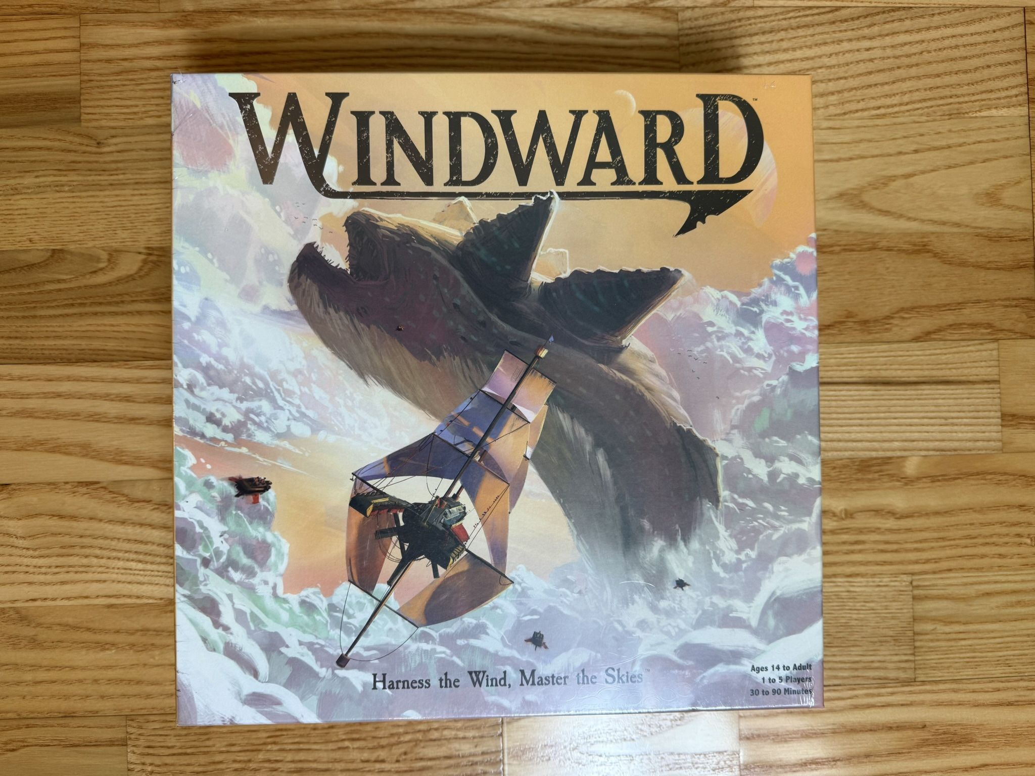 Windward Board Game