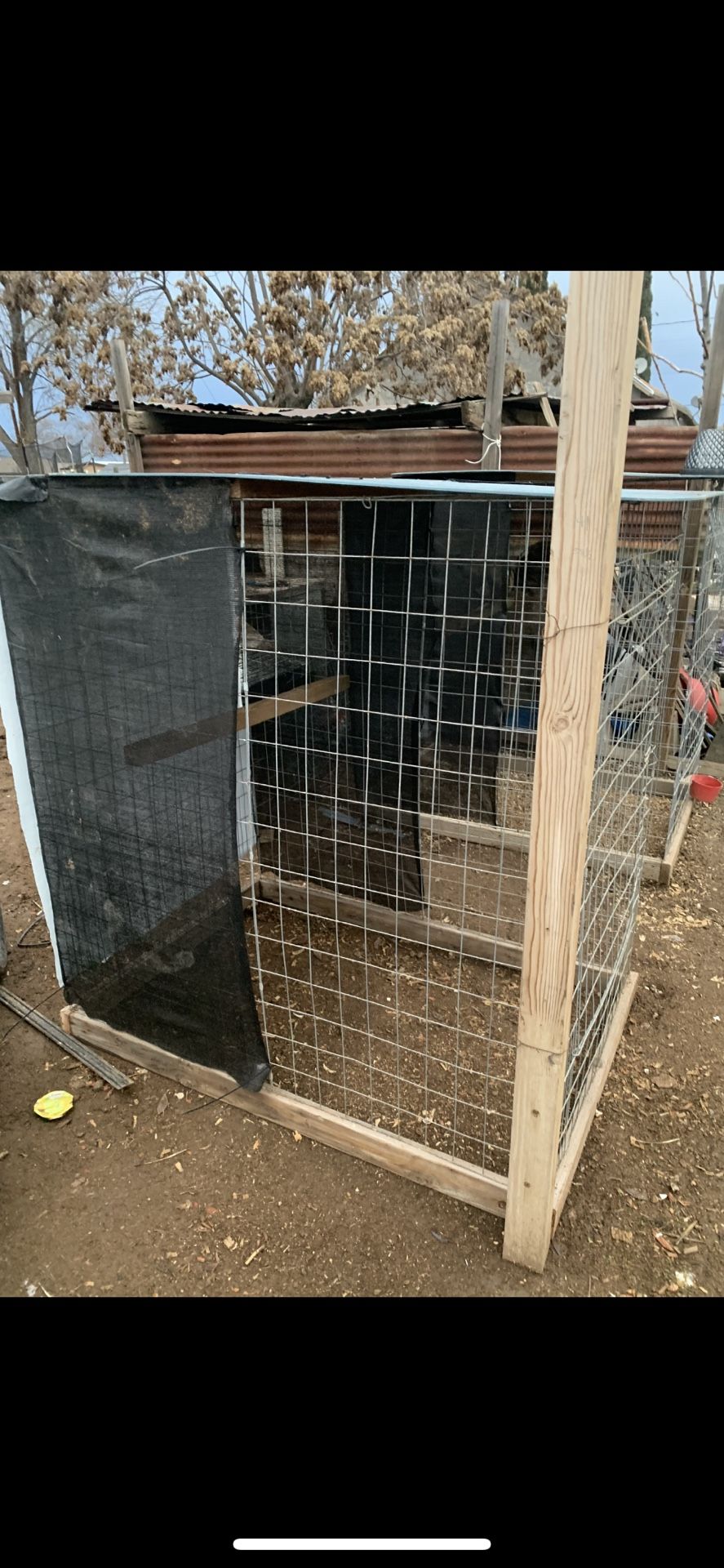 Fly Pens For Roosters
