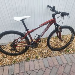 Specialized Mountain Bike