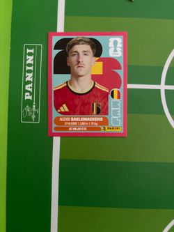 world cup Panini pink border(COSTCO EXCLUSIVE)