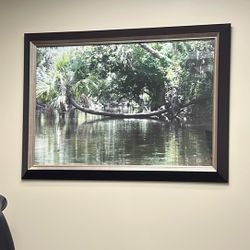Picture Frame Of Green Nature 