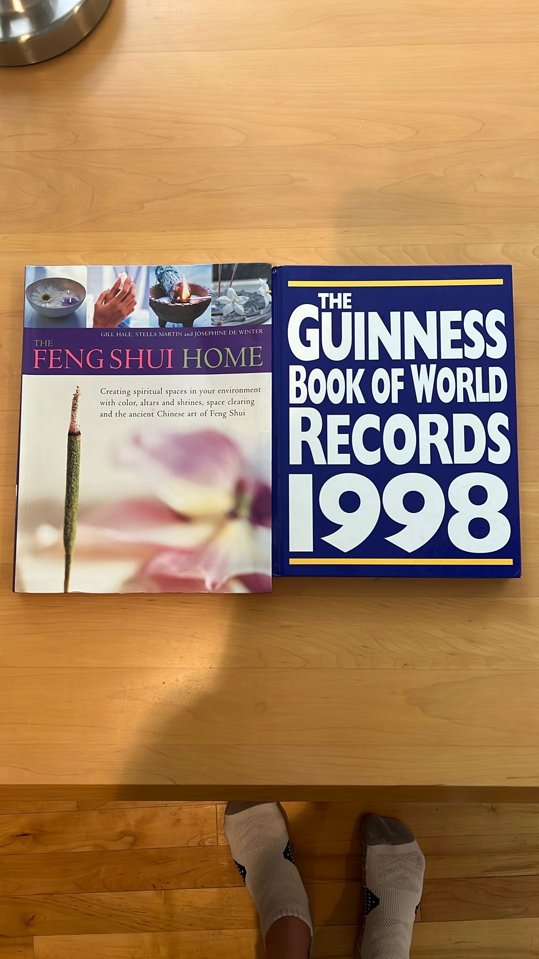 Books The Feng Shui Home And The Guinness Book Of World Records 1998