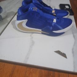 Basketball Goat LeBron James 