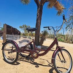 ADULT TRICYCLE GOOD WORKING CONDITION 