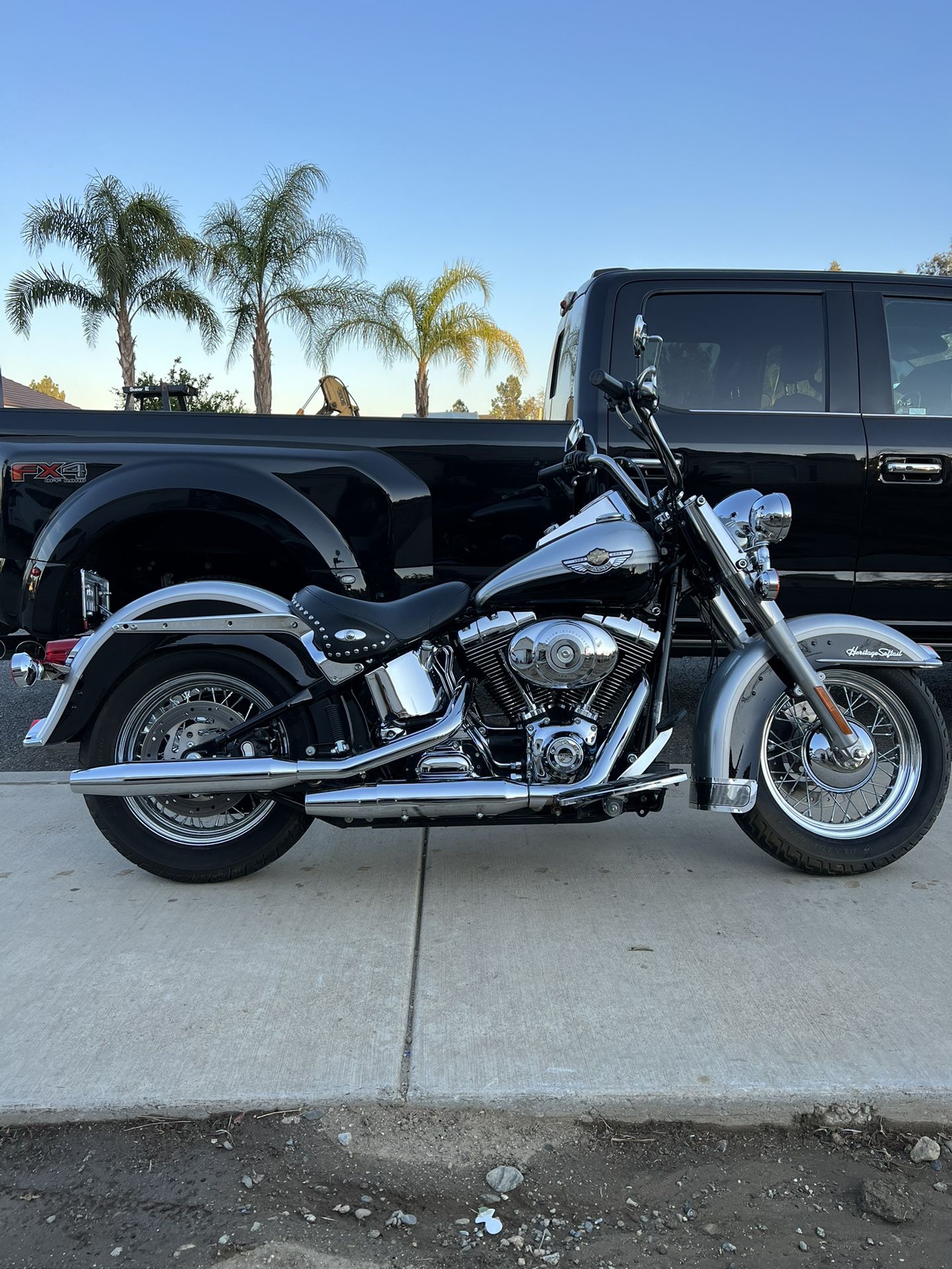 Harley Soft Tail For Sale 1