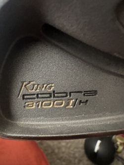 King Cobra