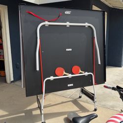Ping Pong Table 