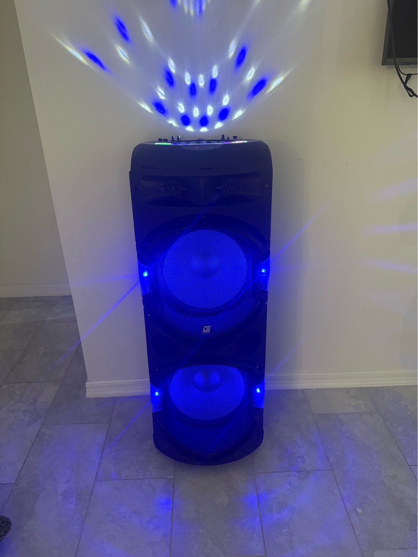 Edison Professional party system