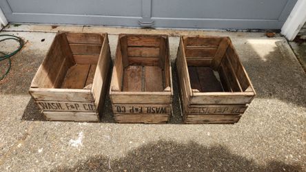 Vintage Washington F&P apple crates