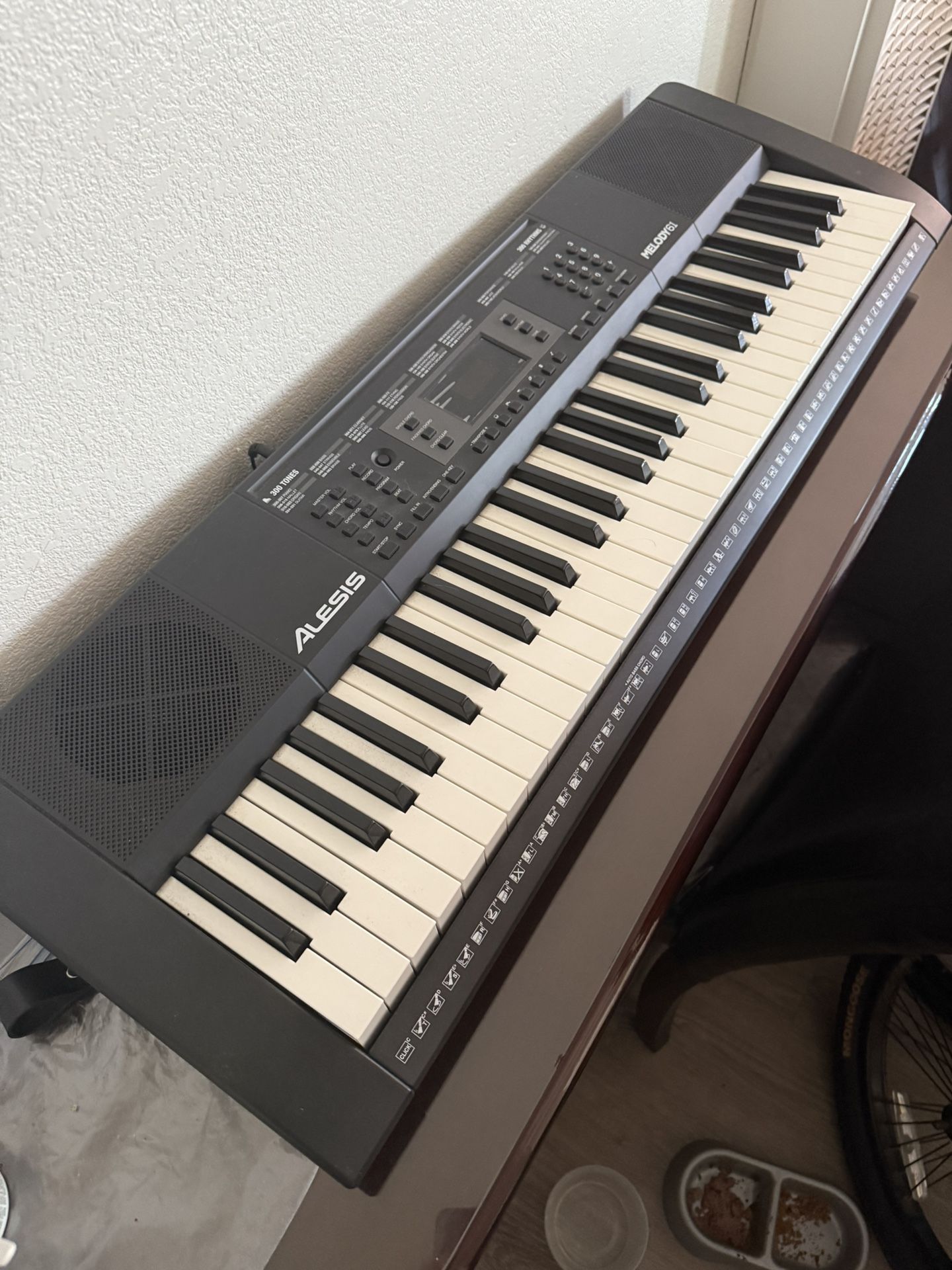 Alesis Melody 61 MK4 Keyboard Piano