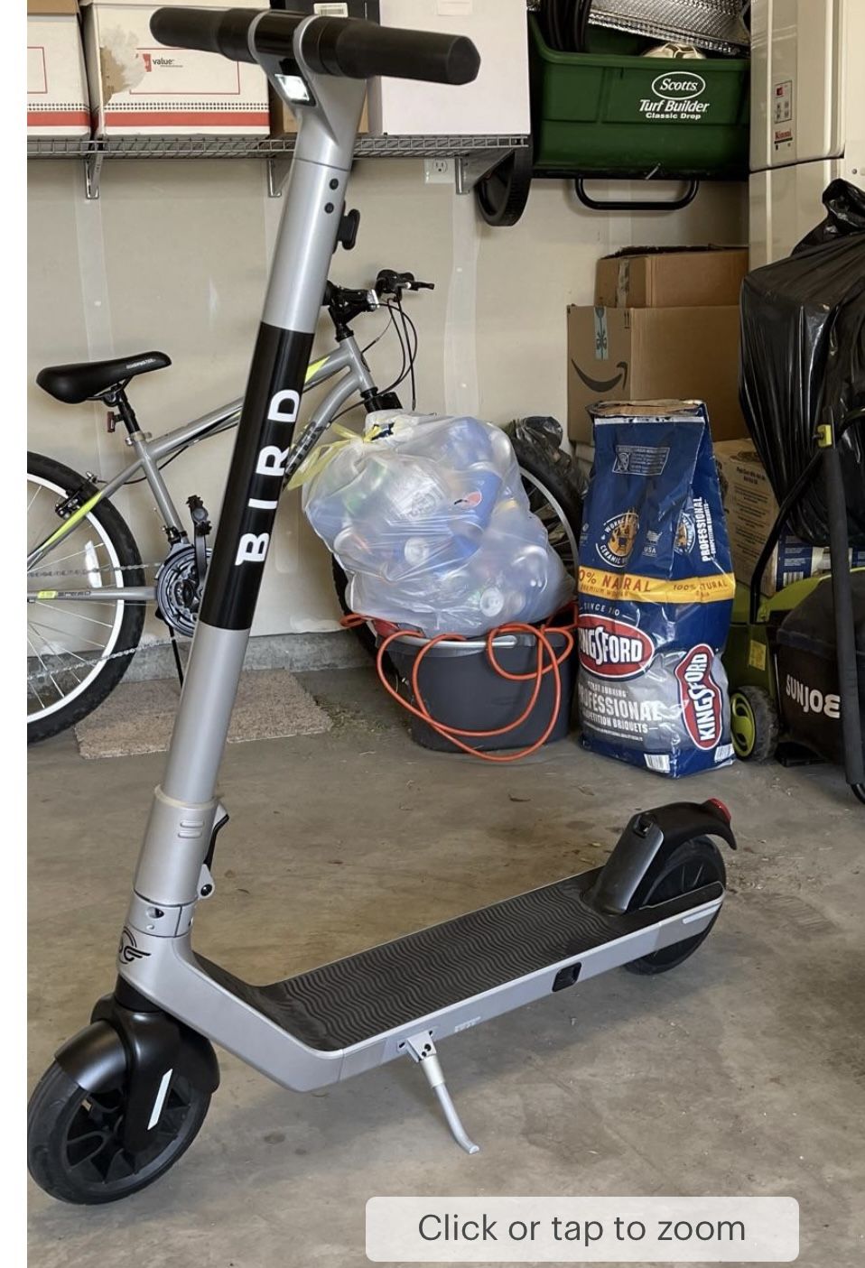 Bird Electric Scooter