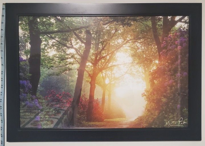 Garden path photograph w/ frame