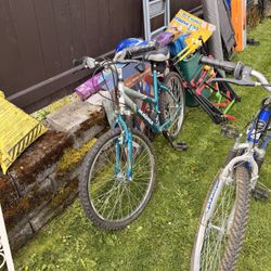 Bikes. Man And Woman’s 