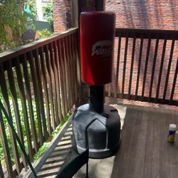 Wave Master Century Punching Training Bag