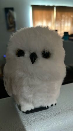 Shoulder pet Hedwig