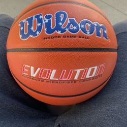 Wilson Evolution Basketball Official Size
