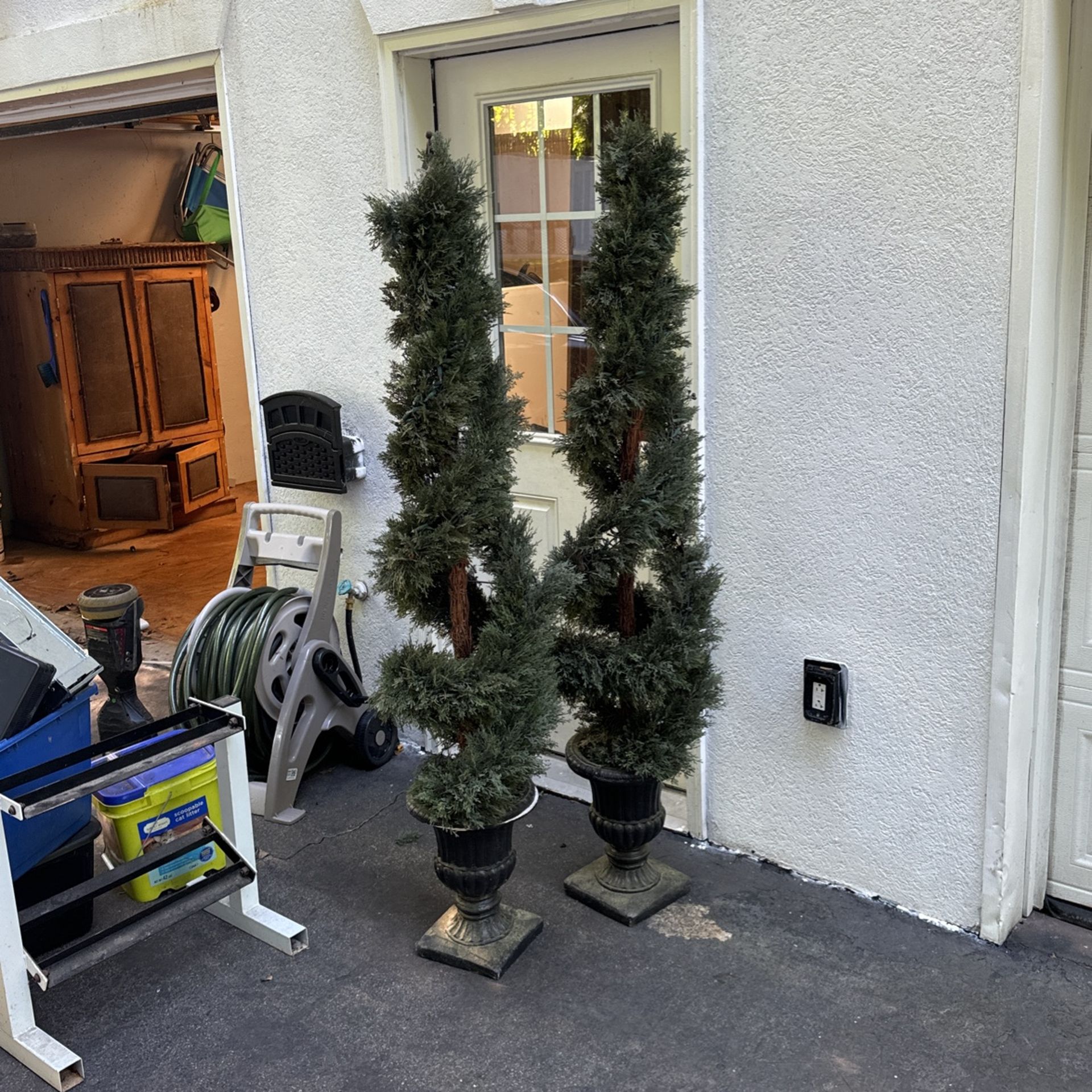 Nice Topiaries For Sale