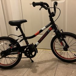 Guardian 16”  Kids Bike 