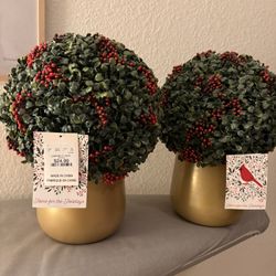 Holiday Topiaries (Set Of 2)