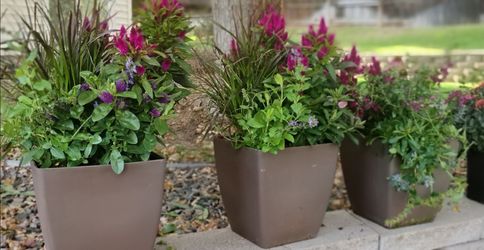 Brown Square Tapered Plastic Planters – Set of 3