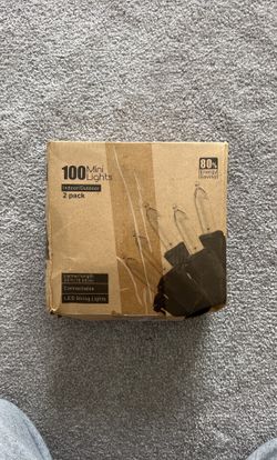 100 Mini Light Indoor/Outdoor 2 Pack