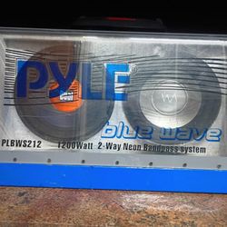 A Pair Of 12 Ones Of Dual 800 W And The Other Ones A Big Dick Speaker With A Big Magnet And A Pile Plexiglass Baseballs