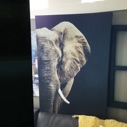 Elephant Wall Art