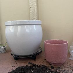 Huge White ceramic Giant Plant Pot & Medium Size Pink, Ceramic, And Plant Pot Planter Plants