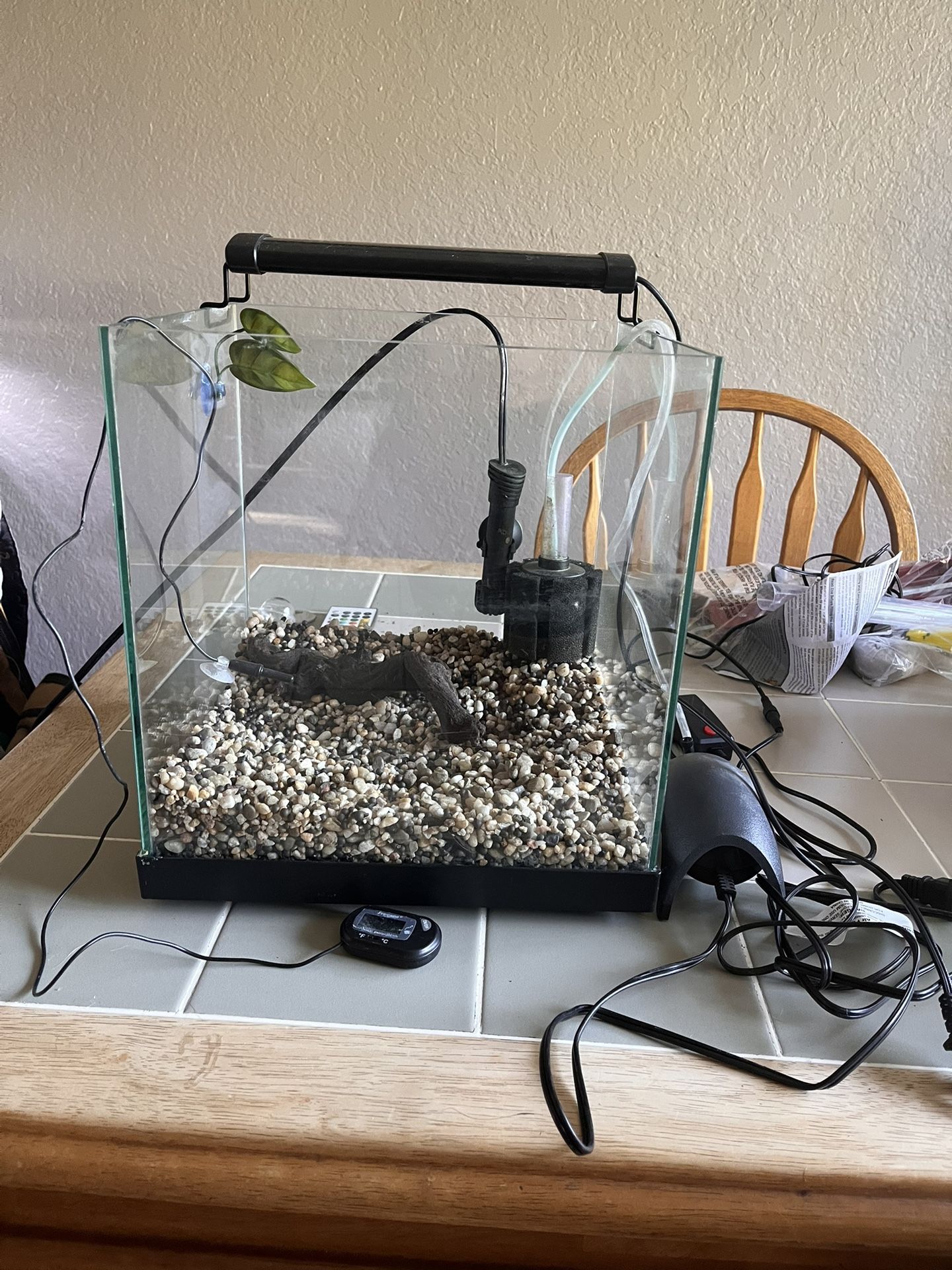 6 Gallon Rimless Tank