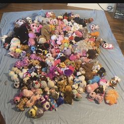 Beanie Babies & Boo’s