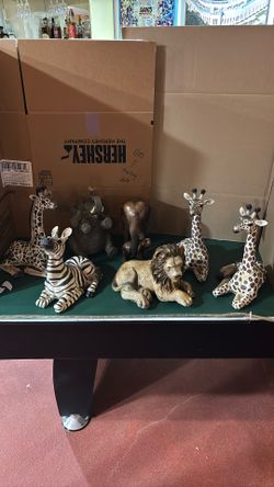 Animals Display