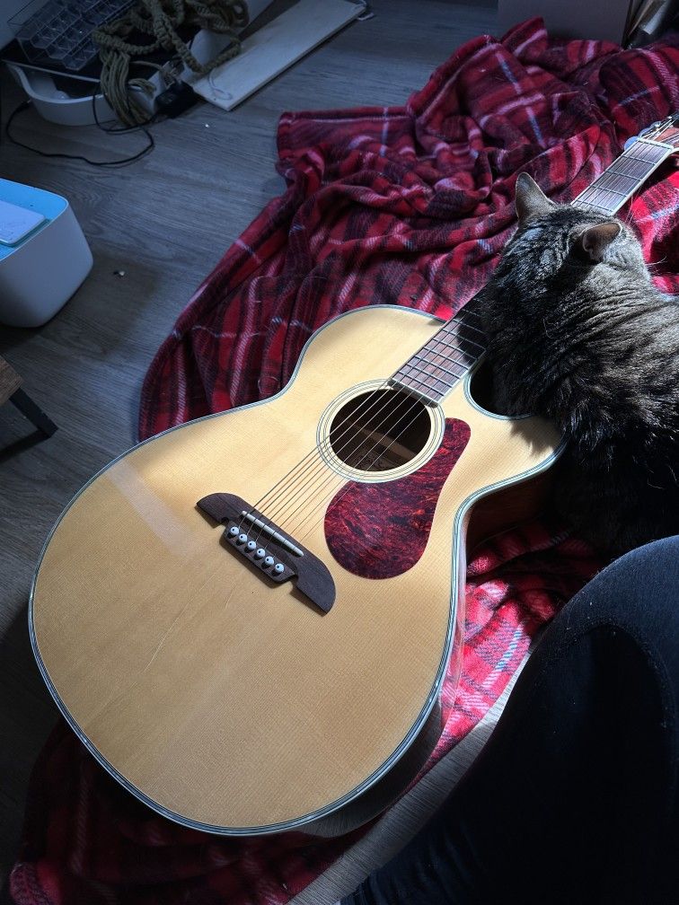 Alvarez acoustic/electric guitar AF96SCK