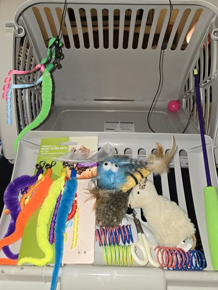 Cat Toys & Bed