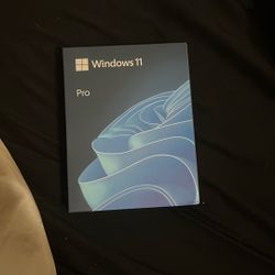 Windows 11 Pro 