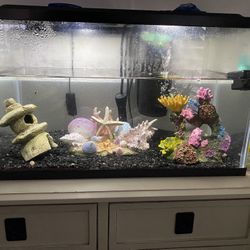 Fish Tank 