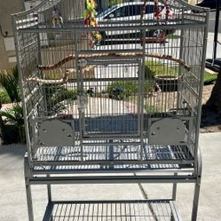 Bird Cage 