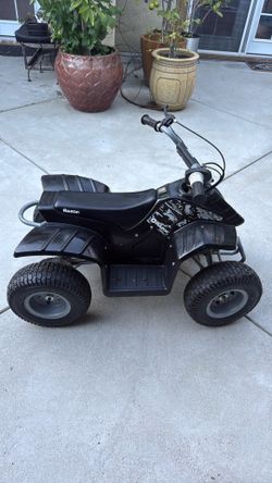 Four wheeler 24 V
