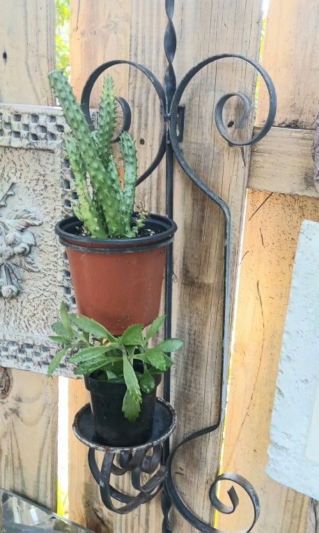 Plant Stand Wall Mount 26" Metal