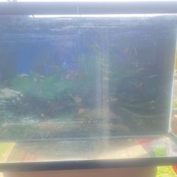40 Gallon Fish Tank Or Reptile Tank 