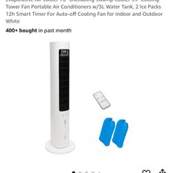 In home swamp cooler/fan combo. With remote and ice packs 