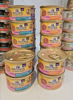 Wellness Canned Wet Kitten Food