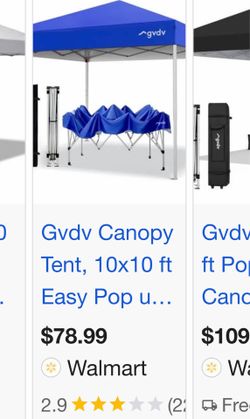 Canopy 10x10 new in the box/ w caring bag