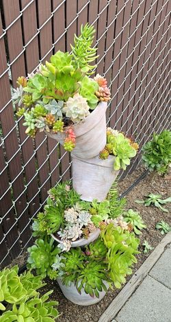 Large Succulent Tilted Pots