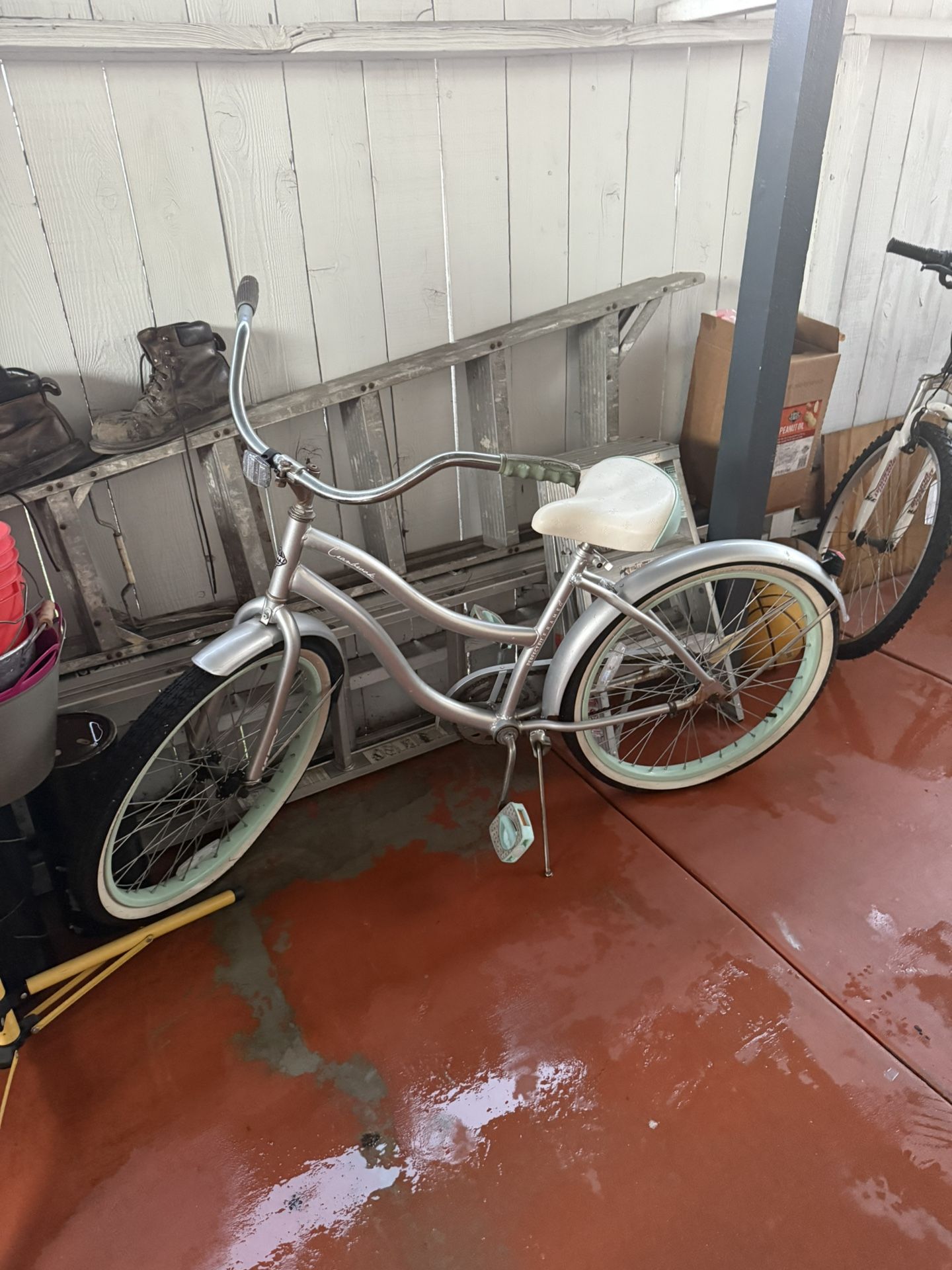 Beach Cruiser Bike (used)