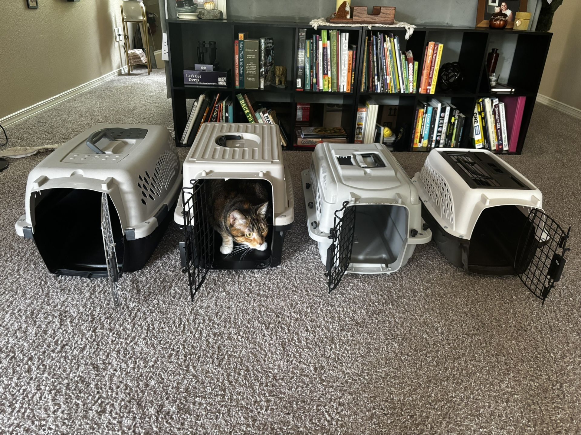 Cat Or Small Dog Kennels! S-M