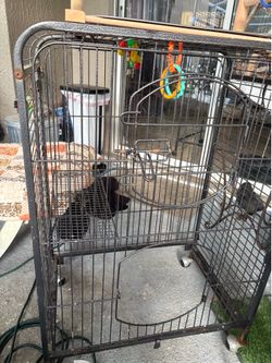 Bird cage