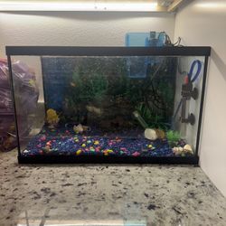 Fish Tank Comes With Everything To Get Started