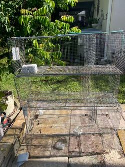 Shrimp traps