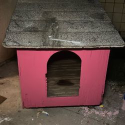 Dog House 